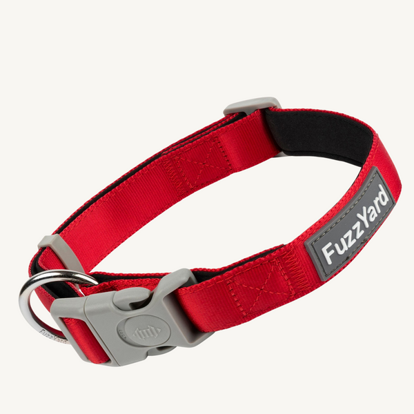 Fuzzyard Rebel Dog Collar Pets Palace Australia
