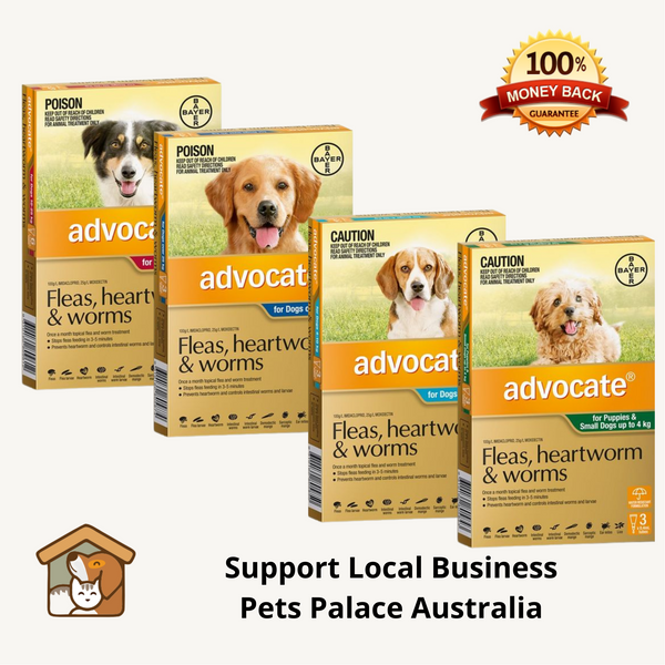 Advocate Dog Worming Medication Pets Palace Australia