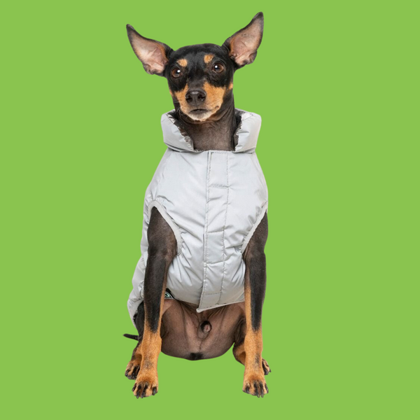 Fuzzyard Hakuba Dog Jacket | Pets Palace Australia