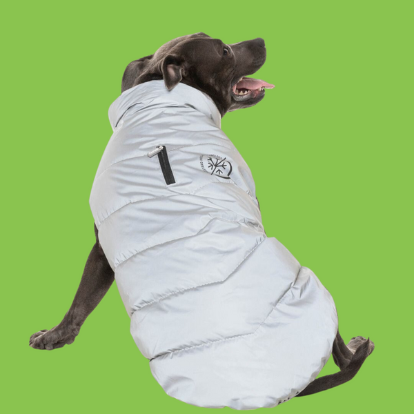 Fuzzyard Hakuba Dog Jacket | Pets Palace Australia
