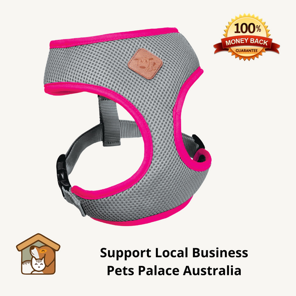 Kazoo SilverPink Active Dog Harness Pets Palace Australia