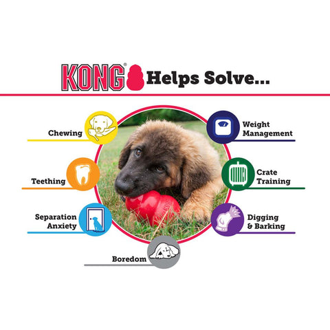 KONG Classic Dog Chew Toy