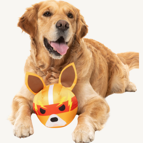 Fuzzyard Doggoforce Dog Toy