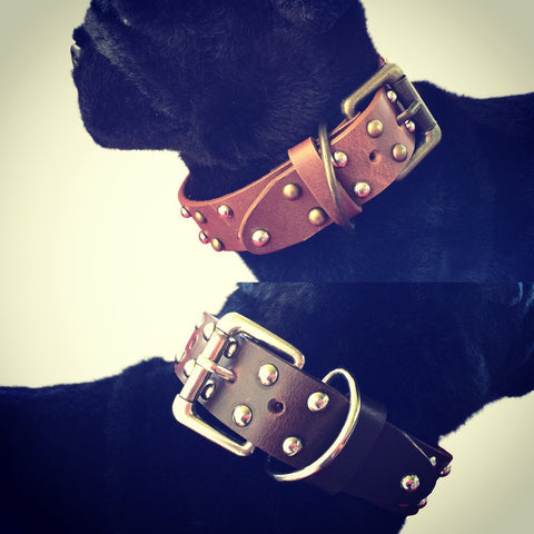Studded Design Dog Collar