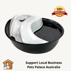 Pioneer Pet Raindrop Dog & Cat Water Fountain