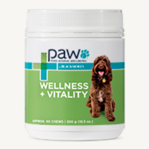 Blackmores Wellness & Vitality Multi Vitamins For Dogs