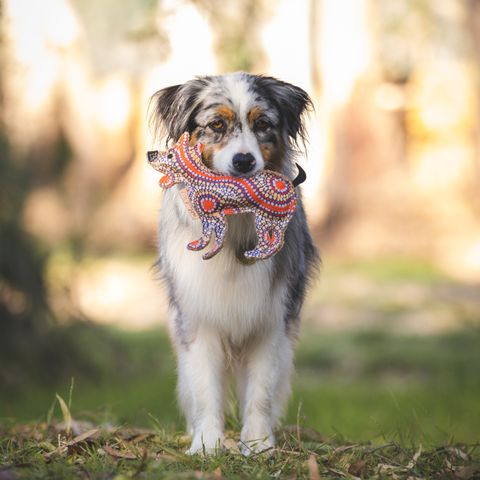 Aboriginal indigenous Desert Tough Dog Toy Puppy Toy Cat Toy Kitten Toy
