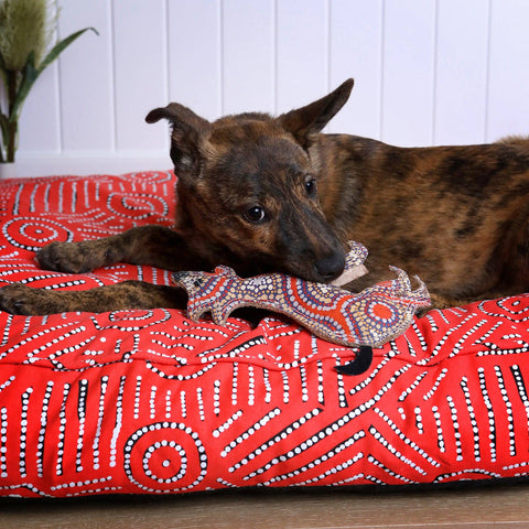 Aboriginal indigenous Desert Tough Dog Toy Puppy Toy Cat Toy Kitten Toy