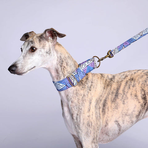 Martingale Collar Whippet Dog Collar Puppy Collar Multi Colour