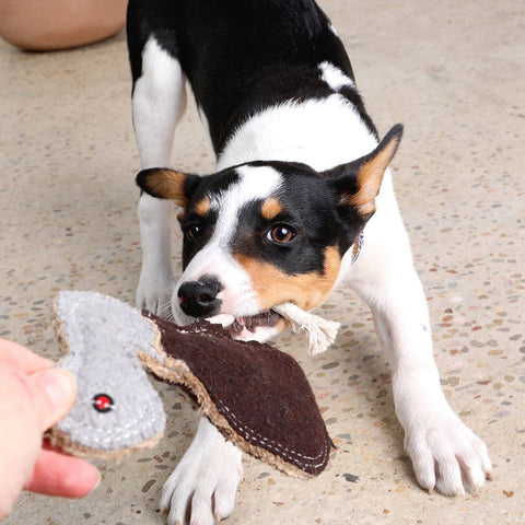 Felt Animal Dog Toy