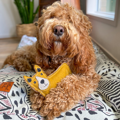 Felt Animal Dog Toy