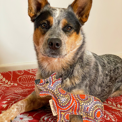 Aboriginal indigenous Desert Tough Dog Toy Puppy Toy Cat Toy Kitten Toy