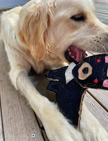 Felt Animal Dog Toy