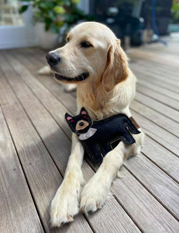 Felt Animal Dog Toy