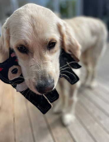 Felt Animal Dog Toy