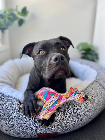 Aboriginal indigenous Desert Tough Dog Toy Puppy Toy Cat Toy Kitten Toy