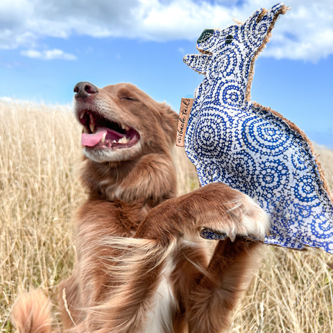 Aboriginal indigenous Desert Tough Dog Toy Puppy Toy Cat Toy Kitten Toy