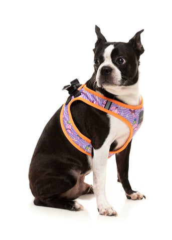 Fuzzyard  Aloha Dolphins Step in Dog Harness