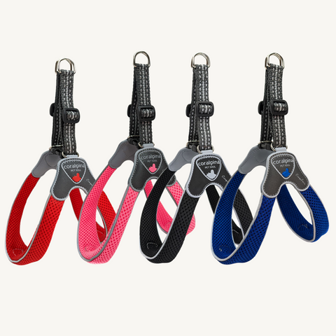 Coralpina Step In Dog Harness