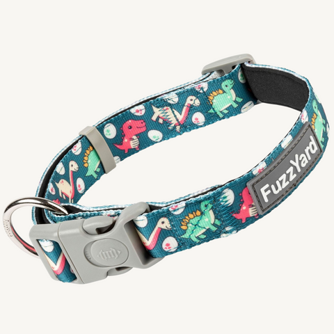 Fuzzyard Dinosaur Land Dog Collar