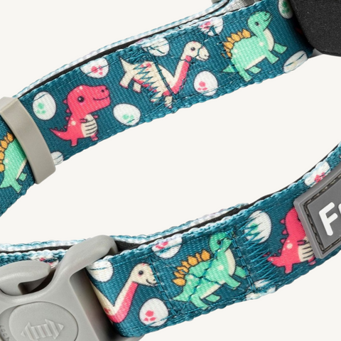 Fuzzyard Dinosaur Land Dog Collar