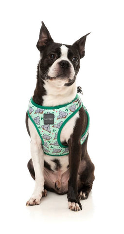 Fuzzyard Dreamtime Koala Step in Dog Harness