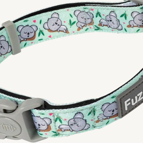 Fuzzyard Dreamtime Koalas Dog Collar