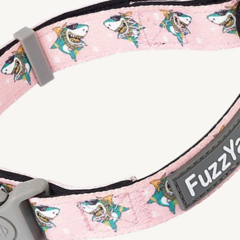 Fuzzyard LL Cool Jaws Dog Collar