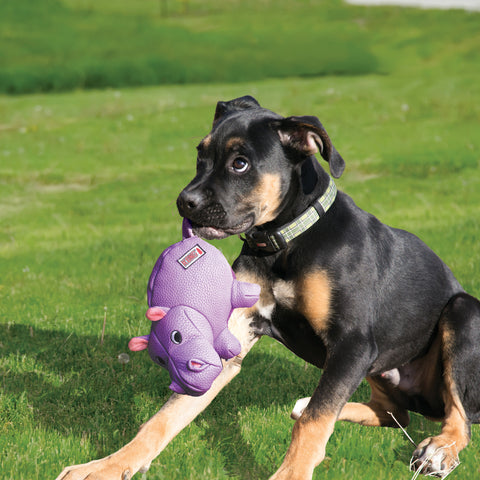 KONG Phatz Hippo Dog Toy