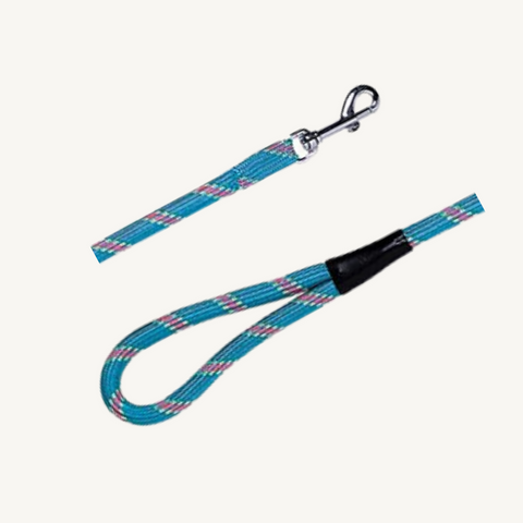 Prestige Mountain Dog Lead