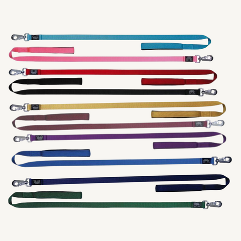 Prestige Soft Padded Dog Leash