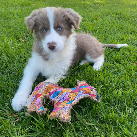 Aboriginal indigenous Desert Tough Dog Toy Puppy Toy Cat Toy Kitten Toy