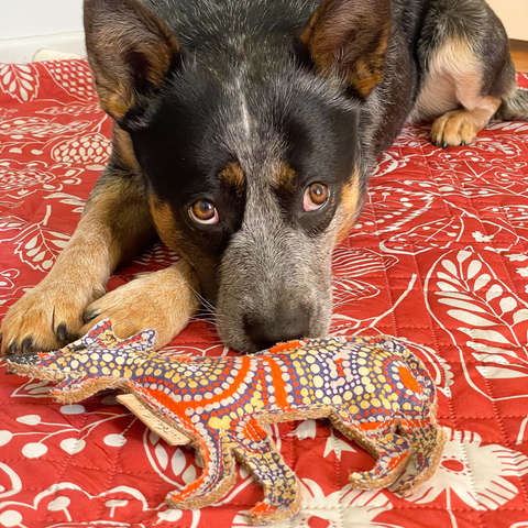 Aboriginal indigenous Desert Tough Dog Toy Puppy Toy Cat Toy Kitten Toy