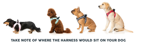 Fuzzyard Yardsters Step In Dog Harness