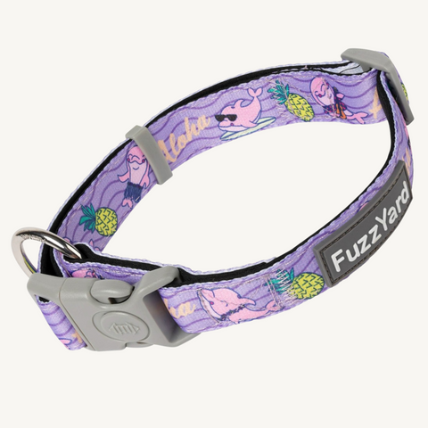 Fuzzyard Aloha Dolphins Dog Collar