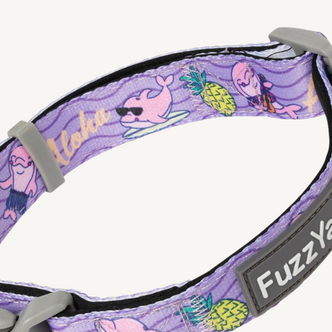 Fuzzyard Aloha Dolphins Dog Collar