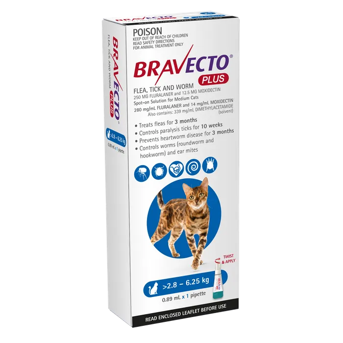 Flea treatment bravecto cats hot sale