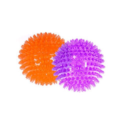 Catch & Play Ball Dog Toy Cat Toy Spikey