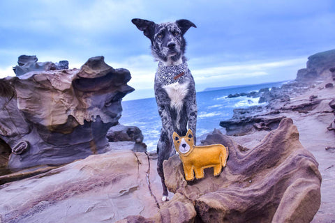 Felt Animal Dog Toy