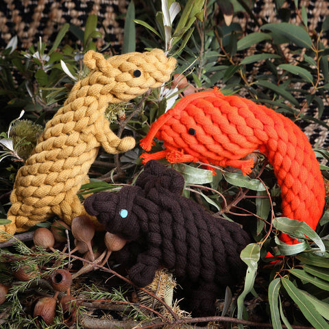 Aboriginal Indigenous Wool Tough Wombat Dog Toy Puppy Toy Cat Toy Kitten Toy