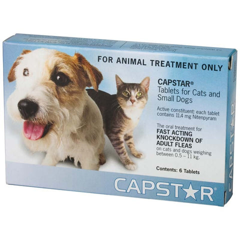 Capstar Flea Treatment for Small Dogs & Cats