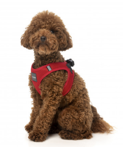 Fuzzyard Step In Harness Rebel Red