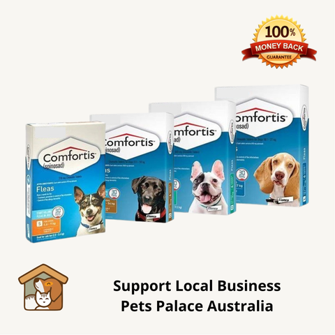 Comfortis flea treatment for dogs