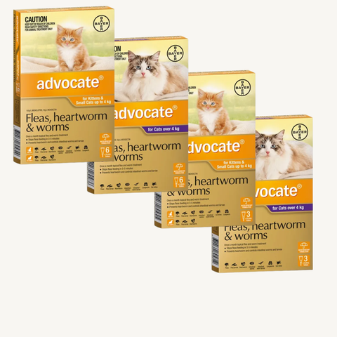 Advocate Cat Worming Medication