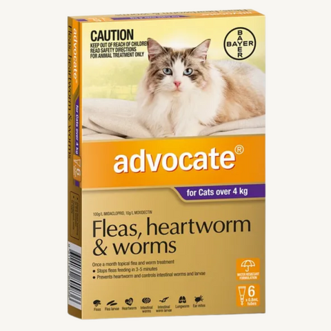 Advocate Cat Worming Medication