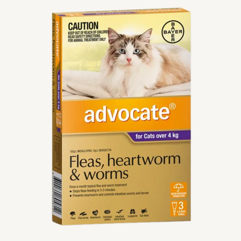 Advocate Cat Worming Medication