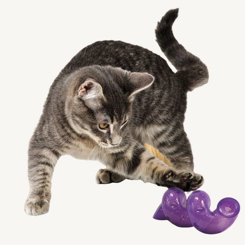 KONG  Bat About Spiral Cat Toy