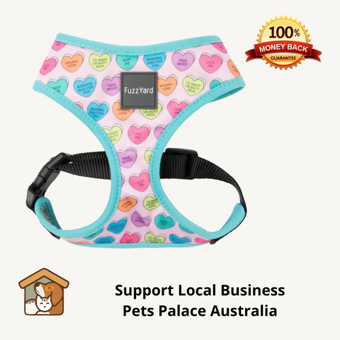  Fuzzyard Candy Heart Harnesses for Dogs