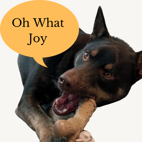 KONG Chew Stix Tough Femur Dog Toy
