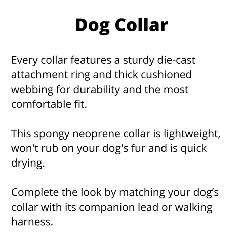 Fuzzyard 1983 Dog Collar